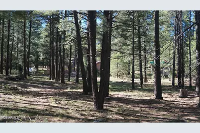 1667 Little Pine Trail, Forest Lakes, AZ 85931 - Photo 38
