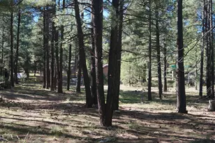 1667 Little Pine Trail, Forest Lakes, AZ 85931 - Photo 38