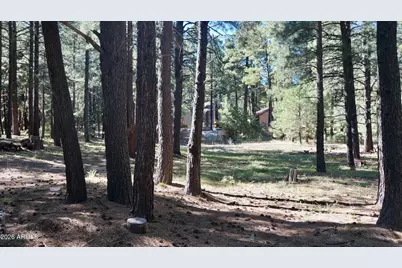 1667 Little Pine Trail, Forest Lakes, AZ 85931 - Photo 32