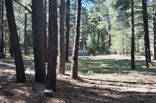 1667 Little Pine Trail, Forest Lakes, AZ 85931 - Photo 32