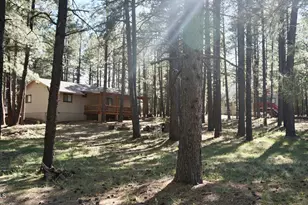 1667 Little Pine Trail, Forest Lakes, AZ 85931 - Photo 34