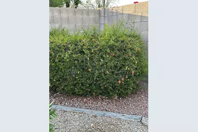 6324 W Irma Lane, Glendale, AZ 85308 - Photo 28