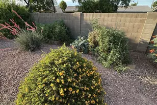6324 W Irma Ln, Glendale, AZ 85308 - Photo 26