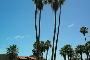 5757 W Eugie Ave, Glendale, AZ 85304 - Photo 12