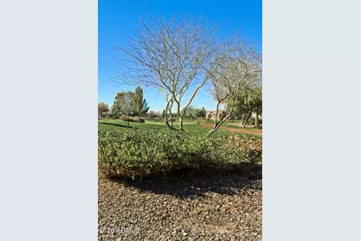 41801 W Cactus Flower --, Maricopa, AZ 85138 - Photo 58