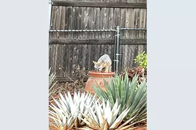 485 Mountain Shadows Drive, Sedona, AZ 86336 - Photo 46