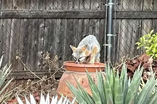 485 Mountain Shadows Dr, Sedona, AZ 86336 - Photo 46