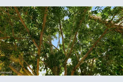 2322 S Rogers -- #9, Mesa, AZ 85202 - Photo 74