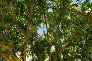 2322 S Rogers, Mesa, AZ 85202 - Photo 74