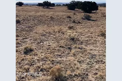 000 N Tbd Drive #9, Saint Johns, AZ 85936 - Photo 4