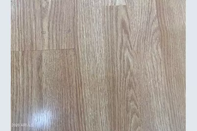 1367 W Chesapeake Avenue, Apache Junction, AZ 85119 - Photo 8