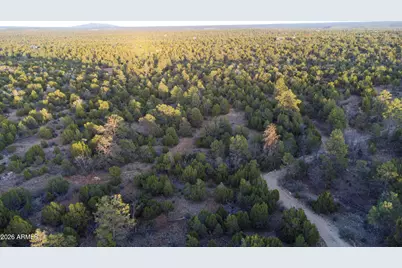 3633 Sunset Ridge Loop #166, Happy Jack, AZ 86024 - Photo 50