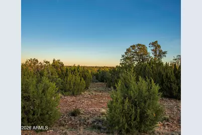 3633 Sunset Ridge Loop #166, Happy Jack, AZ 86024 - Photo 24