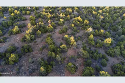 3633 Sunset Ridge Loop #166, Happy Jack, AZ 86024 - Photo 56