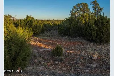 3633 Sunset Ridge Loop #166, Happy Jack, AZ 86024 - Photo 16