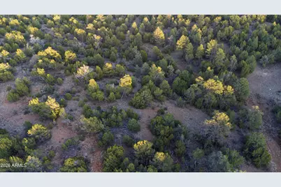 3633 Sunset Ridge Loop #166, Happy Jack, AZ 86024 - Photo 54