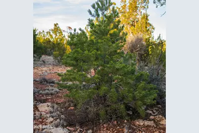 3633 Sunset Ridge Loop #166, Happy Jack, AZ 86024 - Photo 8