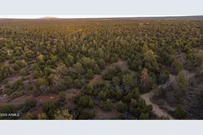 3633 Sunset Ridge Loop #166, Happy Jack, AZ 86024 - Photo 44