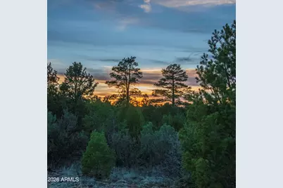 3633 Sunset Ridge Loop #166, Happy Jack, AZ 86024 - Photo 10
