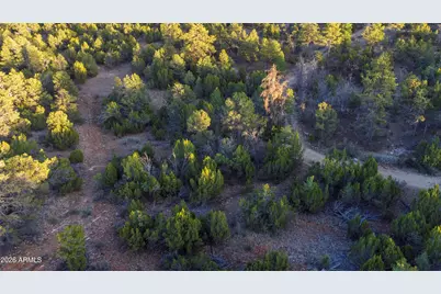 3633 Sunset Ridge Loop #166, Happy Jack, AZ 86024 - Photo 32