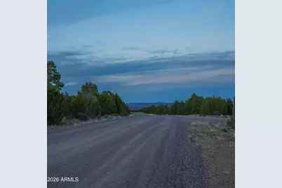 3633 Sunset Ridge Loop #166, Happy Jack, AZ 86024 - Photo 30