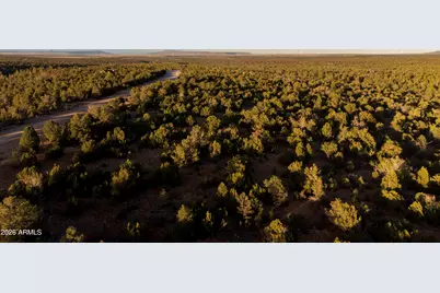 3633 Sunset Ridge Loop #166, Happy Jack, AZ 86024 - Photo 38