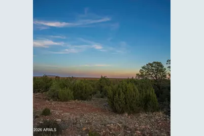 3633 Sunset Ridge Loop #166, Happy Jack, AZ 86024 - Photo 26