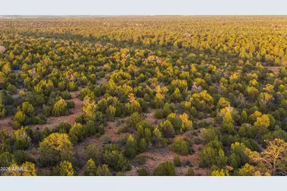 3633 Sunset Ridge Loop #166, Happy Jack, AZ 86024 - Photo 48
