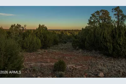 3633 Sunset Ridge Loop #166, Happy Jack, AZ 86024 - Photo 22