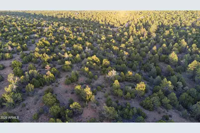 3633 Sunset Ridge Loop #166, Happy Jack, AZ 86024 - Photo 52