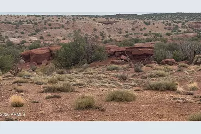 Lot 222 River Springs Ranch -- #222, Saint Johns, AZ 85936 - Photo 12