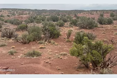 Lot 222 River Springs Ranch -- #222, Saint Johns, AZ 85936 - Photo 14