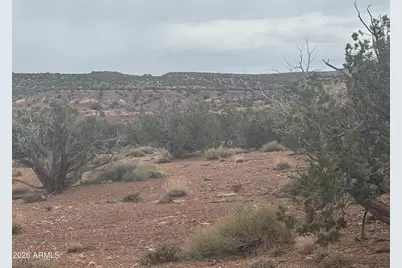 Lot 222 River Springs Ranch -- #222, Saint Johns, AZ 85936 - Photo 8