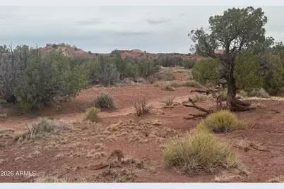 Lot 222 River Springs Ranch -- #222, Saint Johns, AZ 85936 - Photo 2