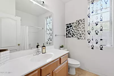 1873 E San Carlos Place, Chandler, AZ 85249 - Photo 46