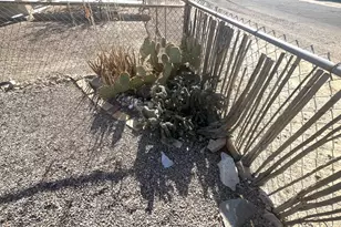 640 W Rocalla Ave, Ajo, AZ 85321 - Photo 22