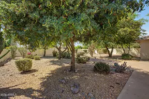 10409 E San Tan Blvd, Sun Lakes, AZ 85248 - Photo 22