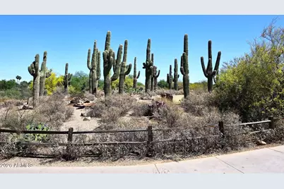 1069 N Poinciana Road, Gilbert, AZ 85234 - Photo 58