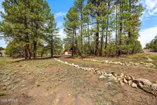 3166 Chevelon Rd, Overgaard, AZ 85933 - Photo 32