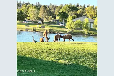 955 W Ensenada Lane, Payson, AZ 85541 - Photo 2