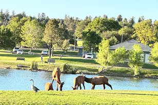 955 W Ensenada Ln, Payson, AZ 85541 - Photo 2