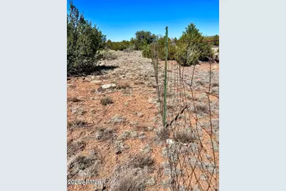 Tbd Co Rd 8307 Lot 100 -- #-, Concho, AZ 85924 - Photo 4