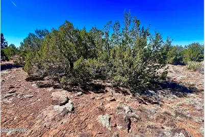 Tbd Co Rd 8307 Lot 100 -- #-, Concho, AZ 85924 - Photo 12