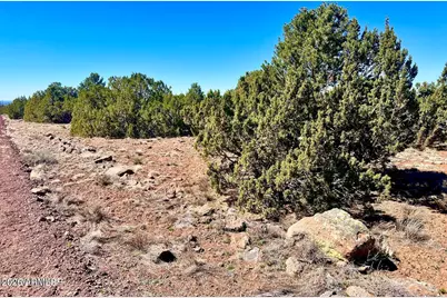 Tbd Co Rd 8307 Lot 100 -- #-, Concho, AZ 85924 - Photo 6