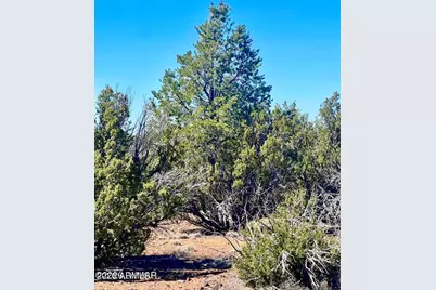 Tbd Co Rd 8307 Lot 100 -- #-, Concho, AZ 85924 - Photo 14