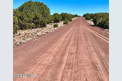 Tbd Co Rd 8307 Lot 100 -- #-, Concho, AZ 85924 - Photo 8