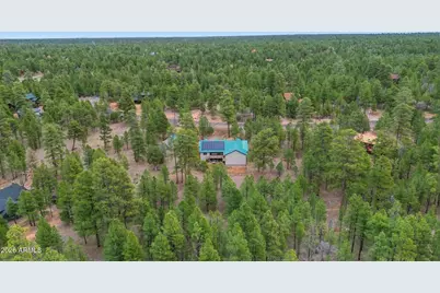2542 Sioux Lane, Happy Jack, AZ 86024 - Photo 40