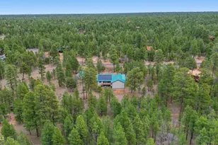 2542 Sioux Ln, Happy Jack, AZ 86024 - Photo 40