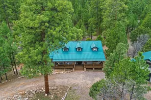 2542 Sioux Ln, Happy Jack, AZ 86024 - Photo 42