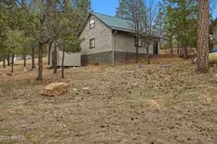 2542 Sioux Ln, Happy Jack, AZ 86024 - Photo 40